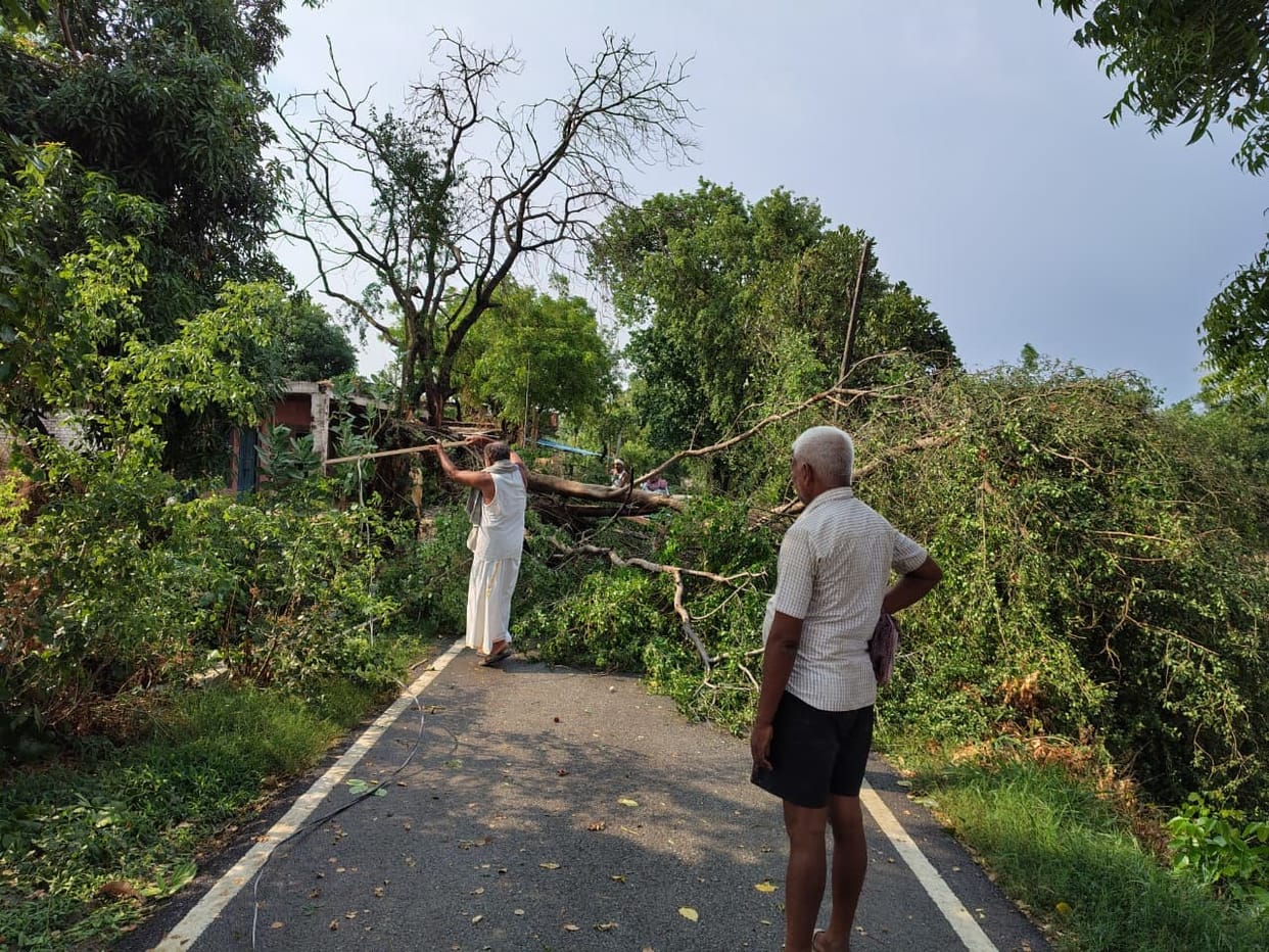 The storm caused electric poles to fall at 13 places.