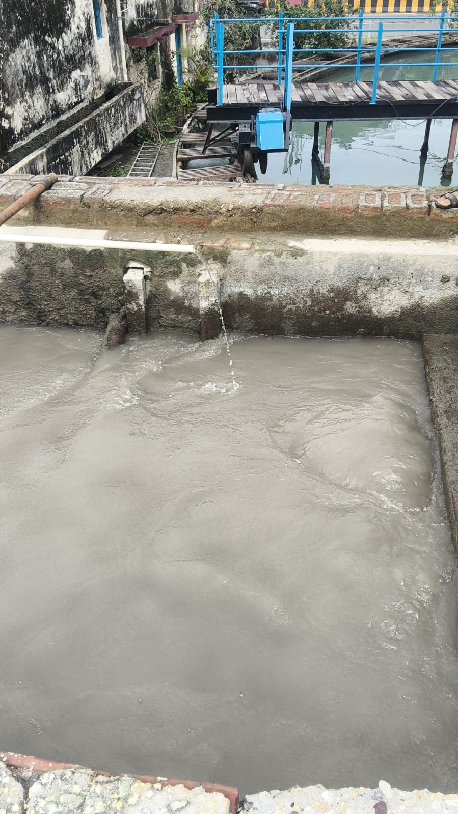 Amount of alum increased to clean the muddy water of Gaula