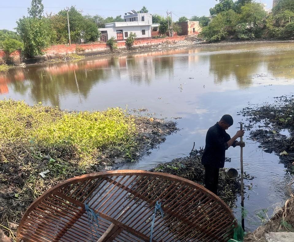 If the administration doesn't listen, the youth are cleaning the pond themselves.