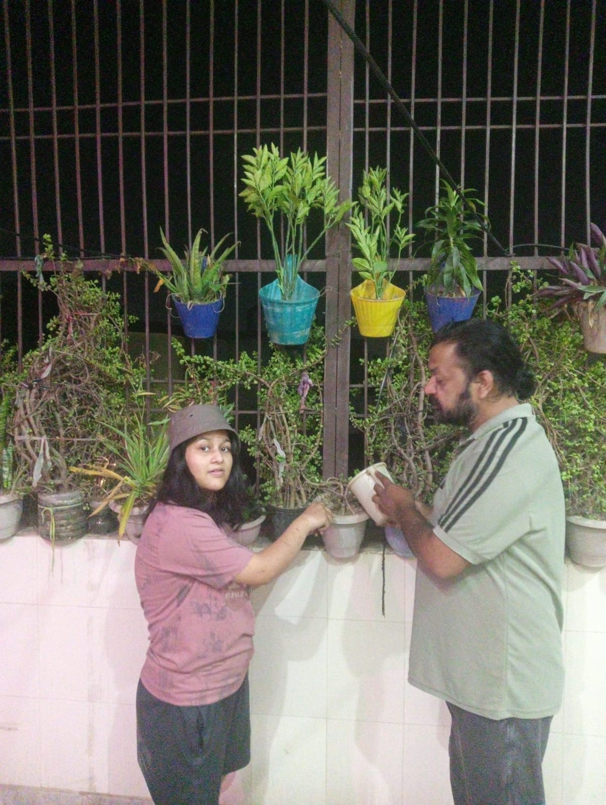 A world of greenery decorated on the terrace, Shreeja Gautam created a beautiful world of nature with plants