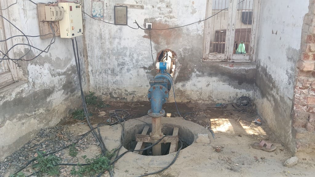 Jakhal is waiting for canal water