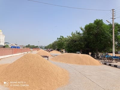 Eyes opened after paddy scam, strictness on return of rice