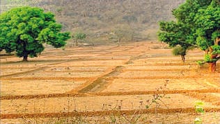 Circle rate of agricultural land will be doubled in some areas.