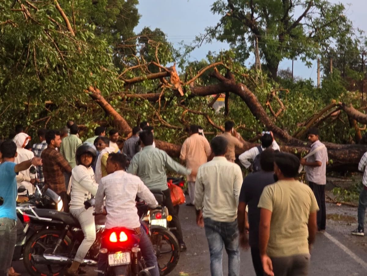 Trees and poles fell due to storm and rain, power supply disrupted