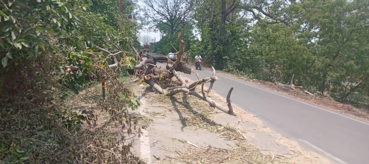 Electricity supply in rural areas, knocked out by the storm, has not yet been restored.