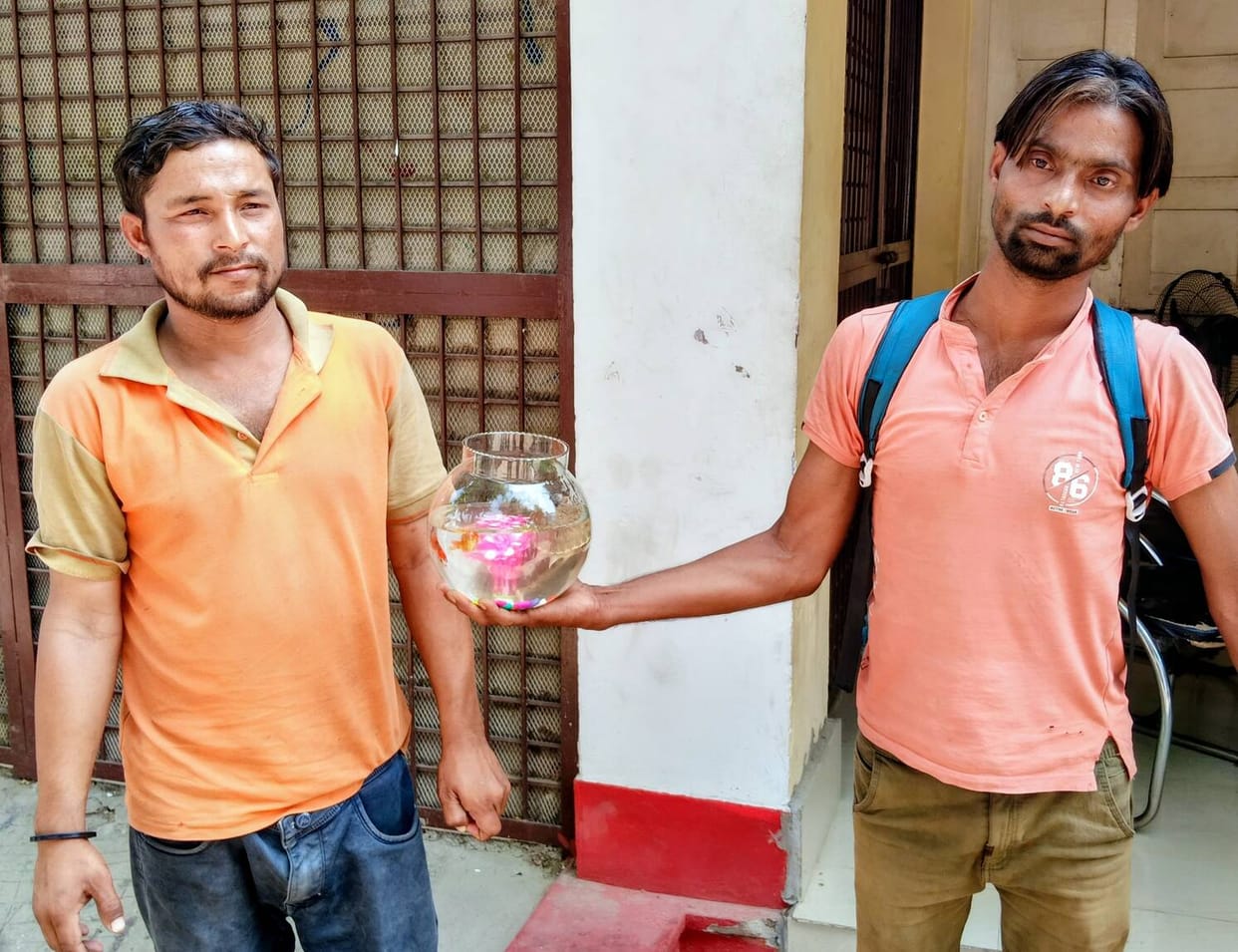 Two wildlife smugglers arrested with turtles