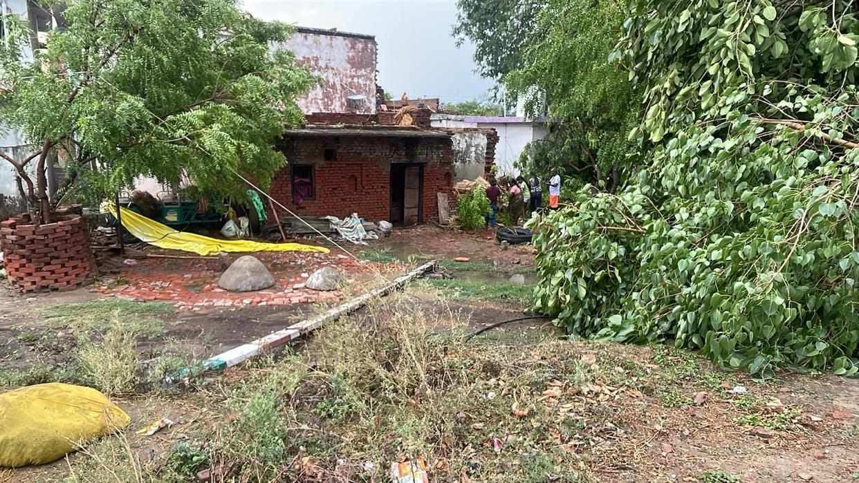 Trees uprooted due to storm and rain, 60 electricity poles fell