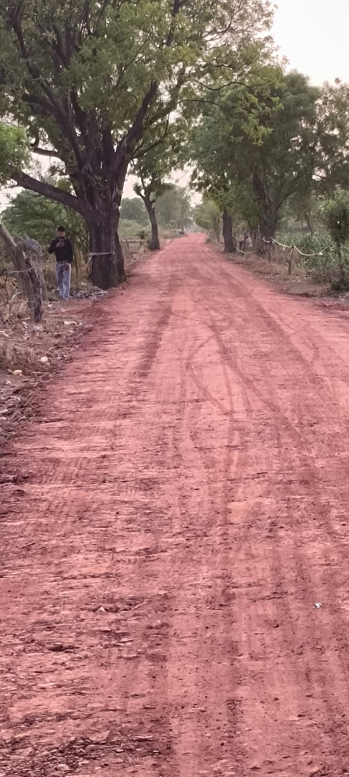 The BJP leader commissioned the road construction from his personal funds;