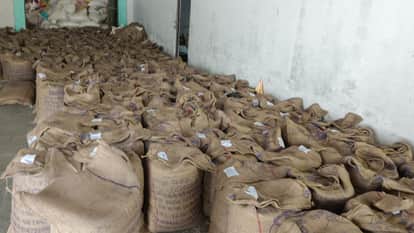 siwan fci godown grain black marketing 324 quintal seized goreyakothi bindbal raid