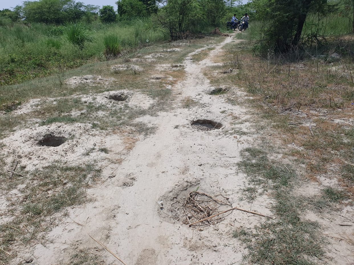 Pits filled before planting, how will the campaign be completed? The Forest Department is doing a superficial job on tree planting, villagers demand an investigation.