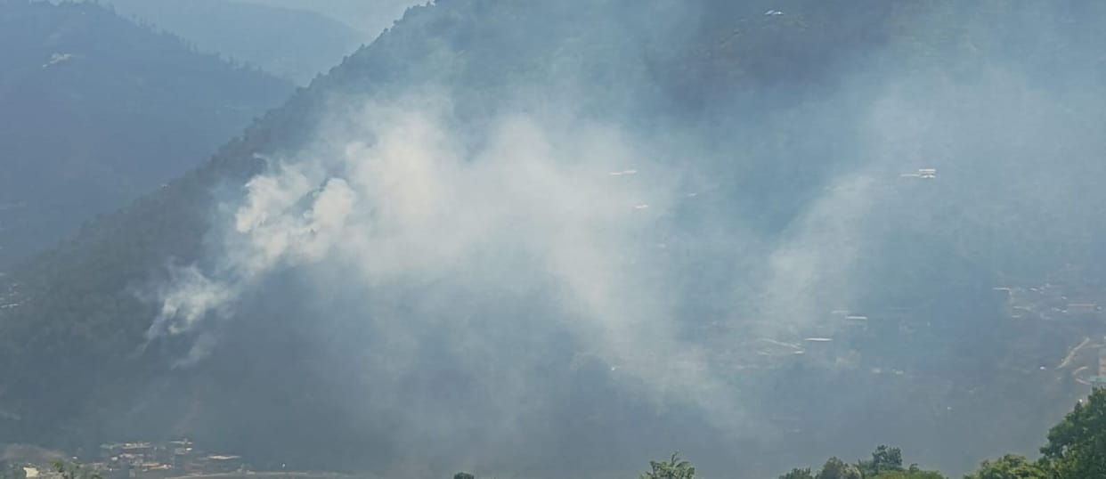 Forest fire breaks out near Geman Bridge
