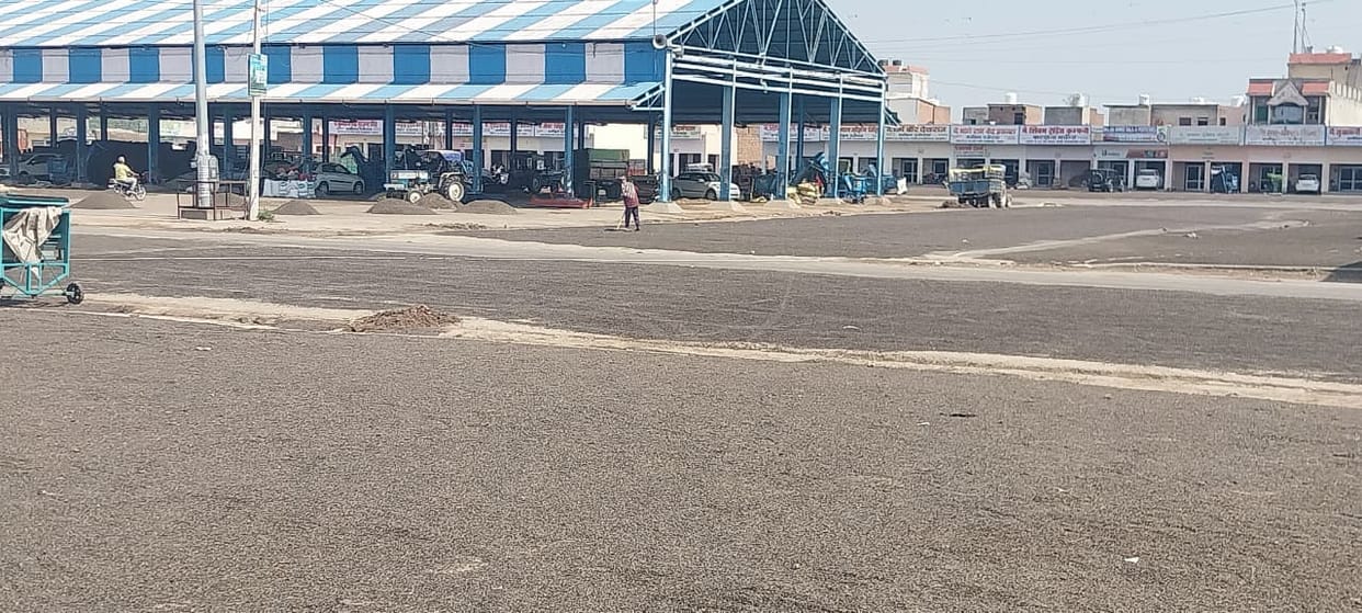 Sunflower arrivals in the grain market increased, purchases picked up.