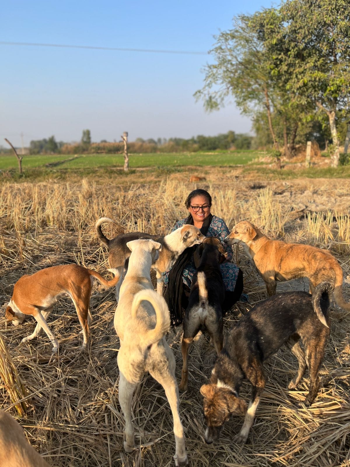 Karuna has become the savior of the voiceless, feeding more than 200 animals every day.