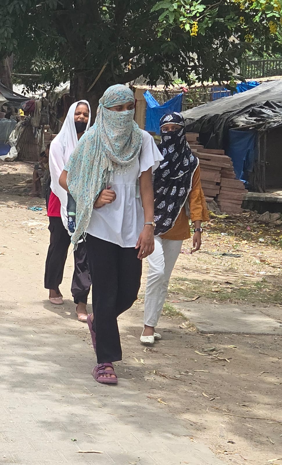 Temperature increased by three degrees in one day, further increase is expected
