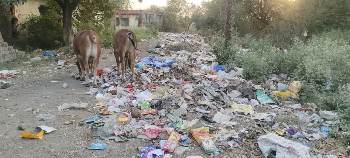 Pile of garbage in Sathariya troubles pedestrians