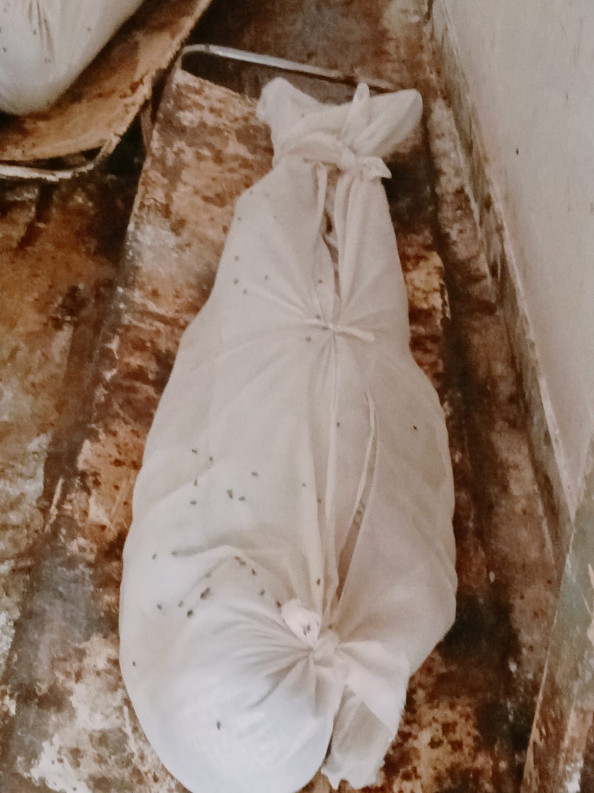 Postmortem House: Bodies are spoiling quickly due to lack of deep freezer, five corpses arrive every day