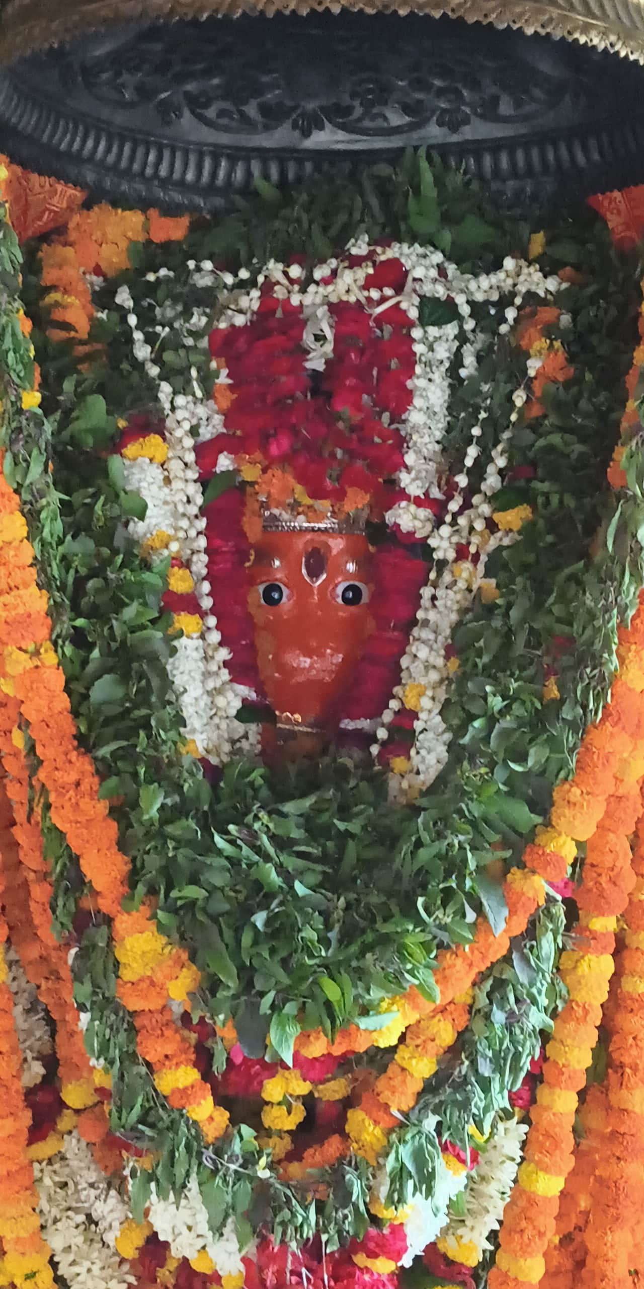 रॉबर्ट्सगंज संकट मोचन हनुमान मंदिर में सजी भव्य प्रतिमा। संवाद