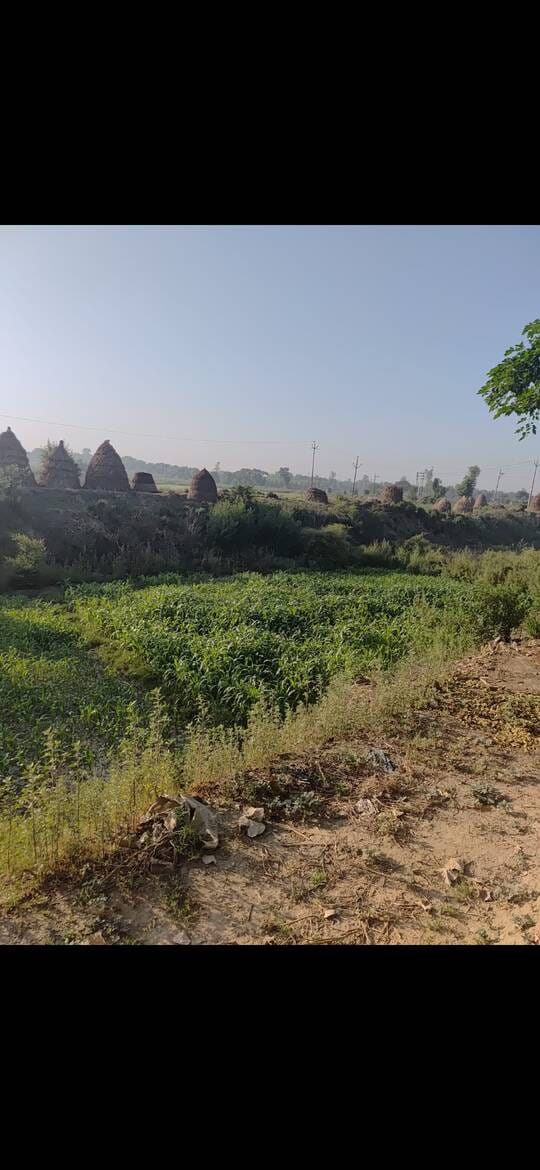 Crores spent, yet the throat of the Katha river remains thirsty
