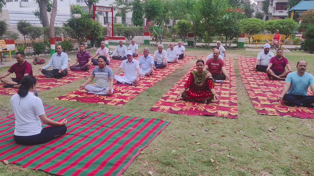 Practiced yoga at the camp