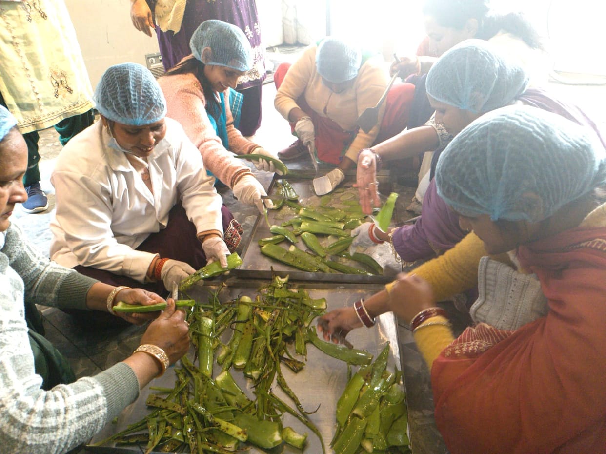 Women improved their standard of living by adopting self-employment