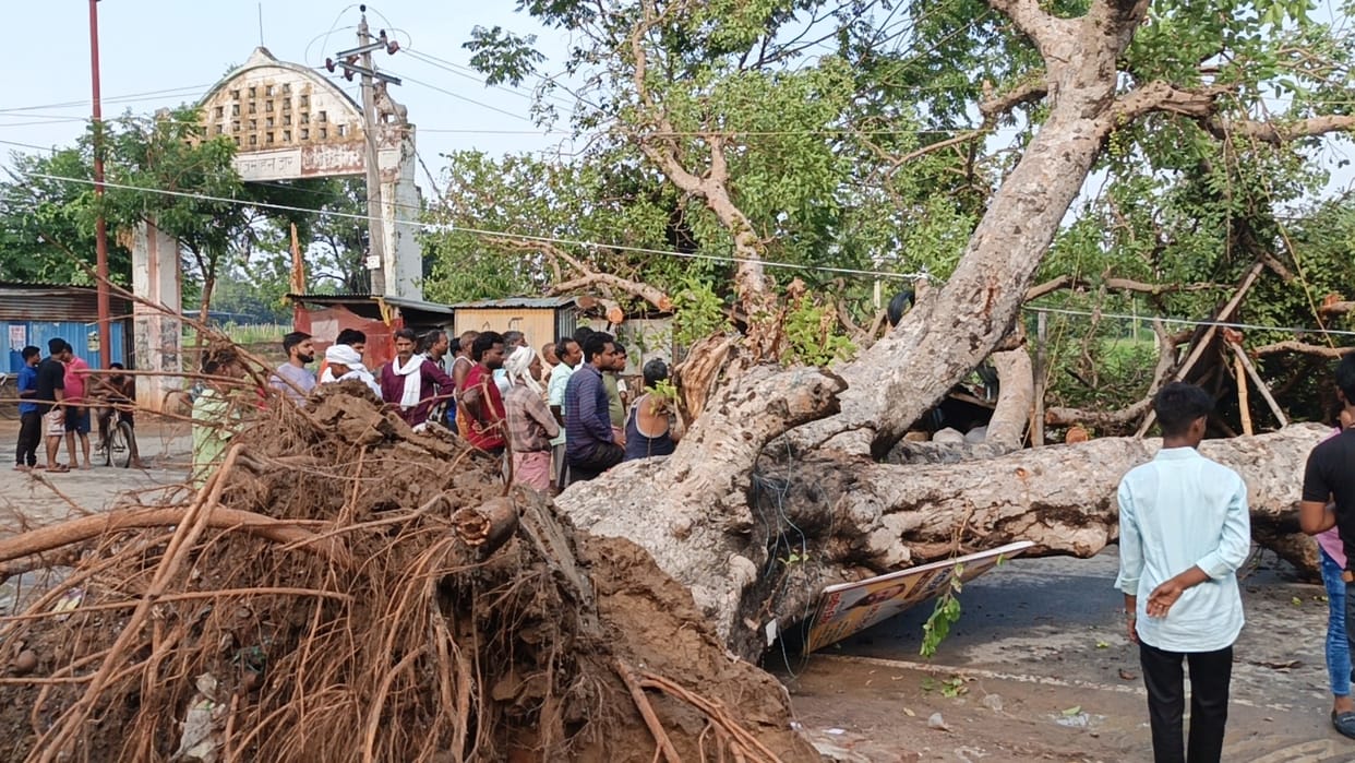 Winds blowing at a speed of 50 kilometers per hour, traffic was halted for three hours due to trees falling