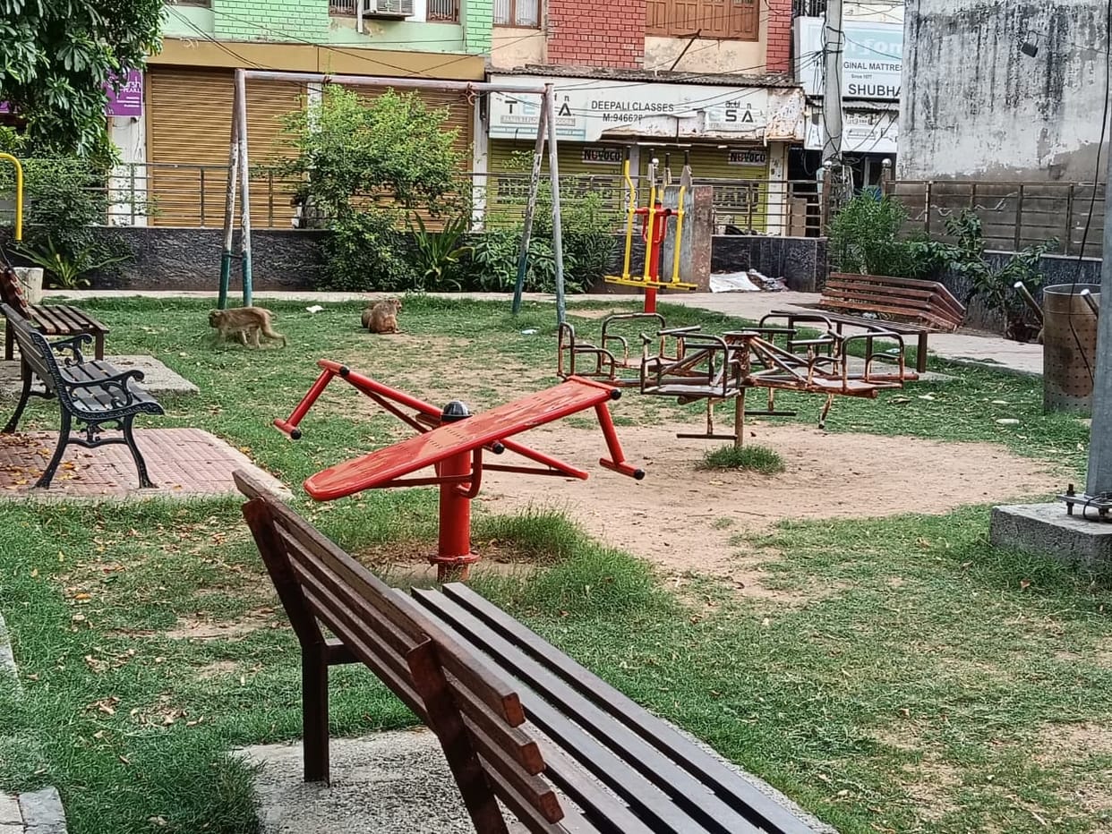 Withering greenery, broken swings.... failing to provide people peace, the condition of the city's four main parks is dilapidated