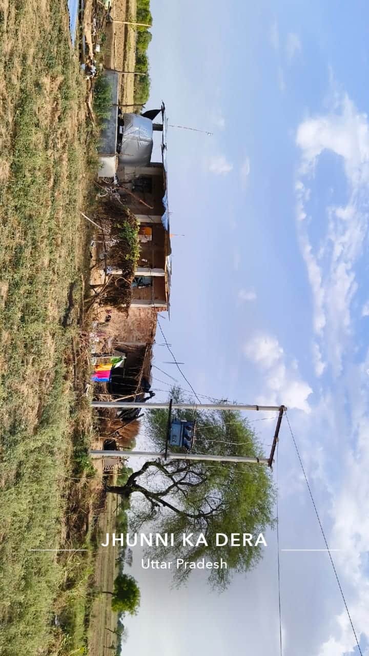 फोटो - 11 खरेई गांव के एक खेत में लगीं सब्जियां। संवाद