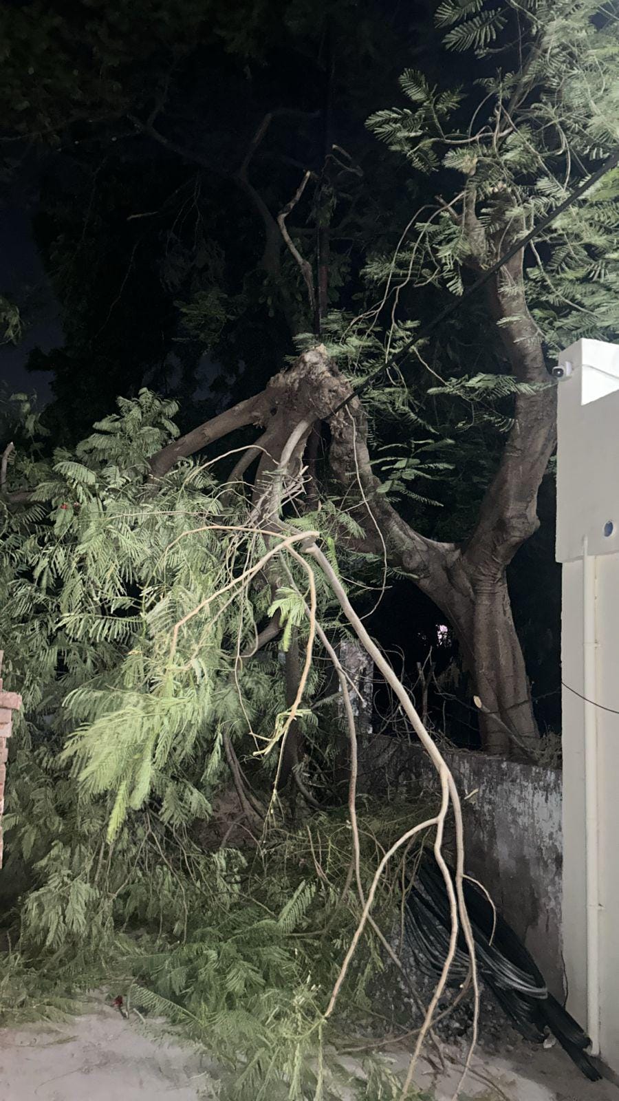Humidity and heat increased the discomfort, people were troubled by power faults.