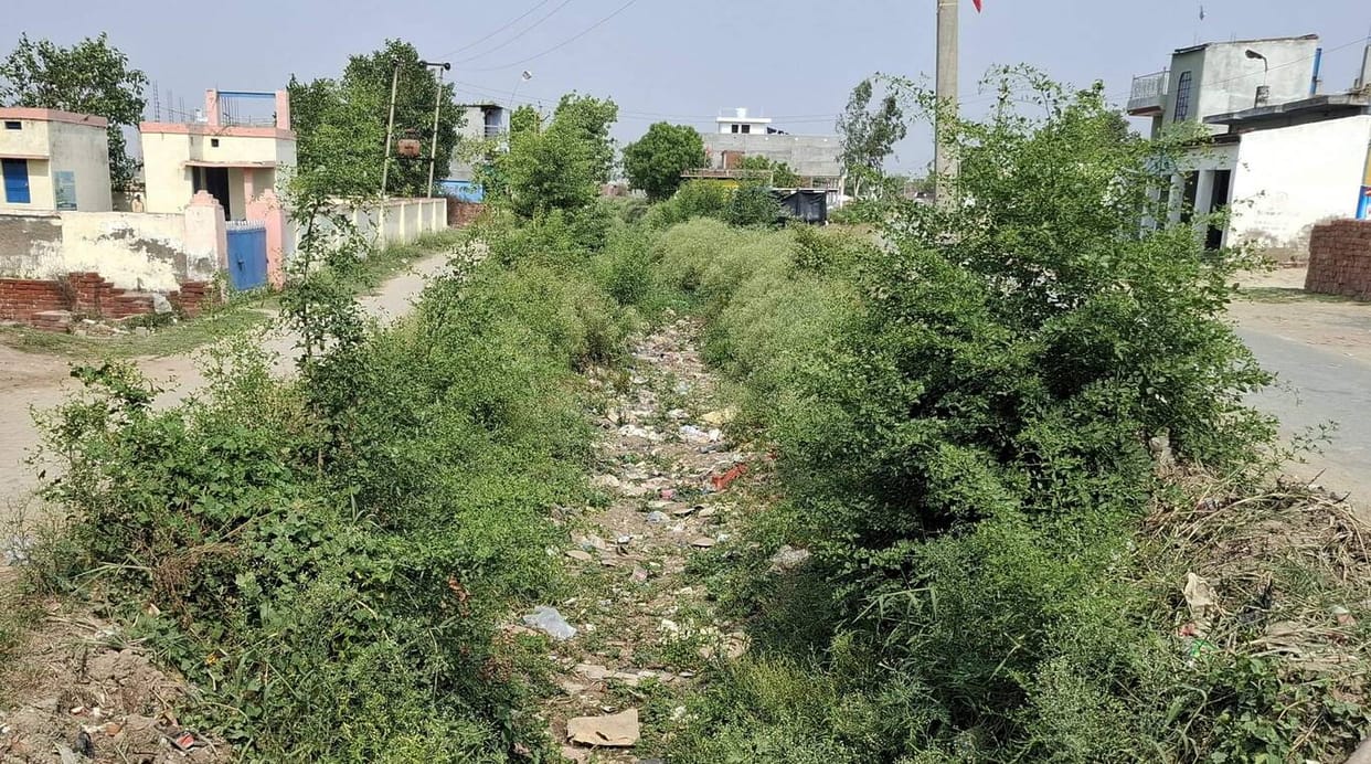 The time for planting rice nurseries is near, but there is no water in the canals.