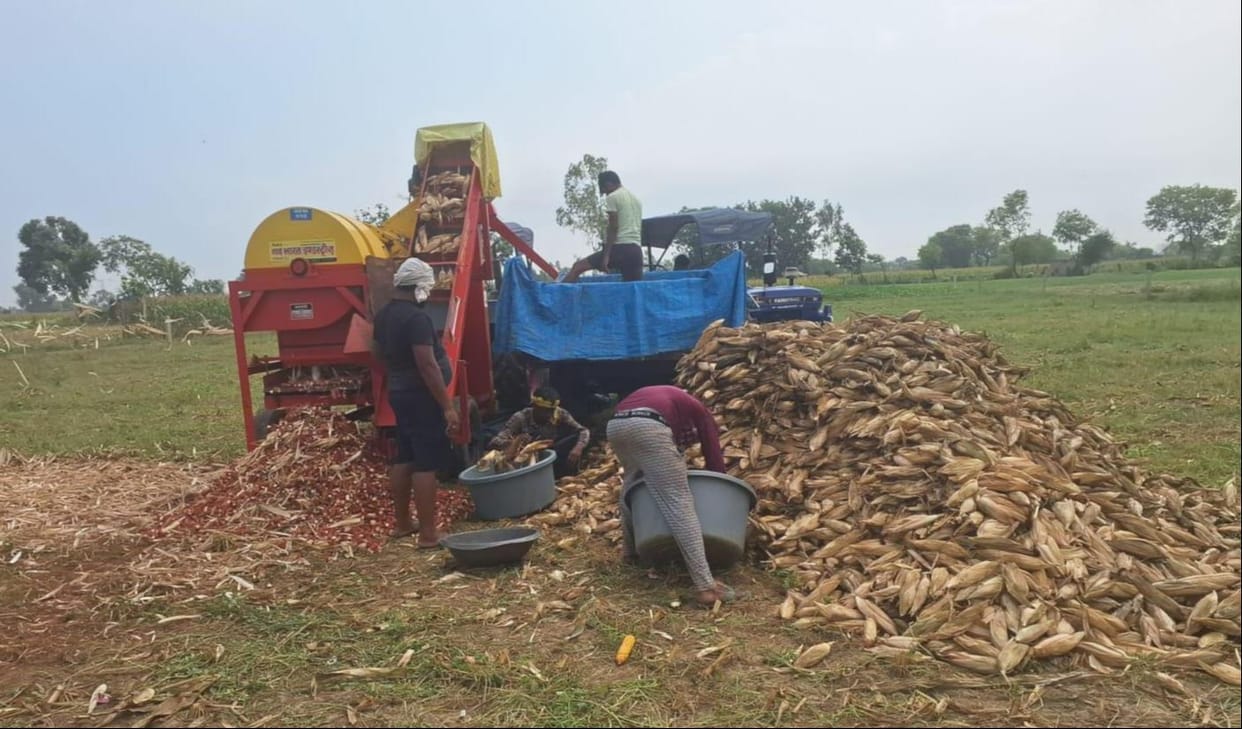 etah news rain crop damage