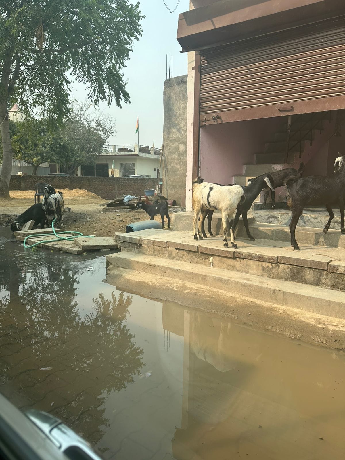 Contaminated water will be treated, Manesar's mood will change