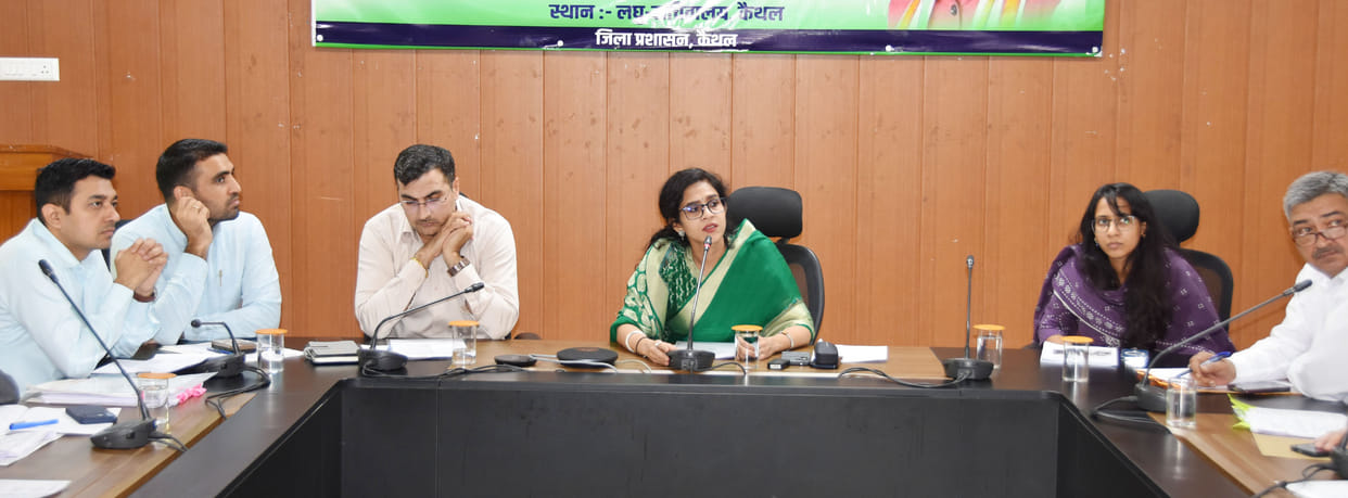 Tehsildars will have to complete 5 demarcation works: DC