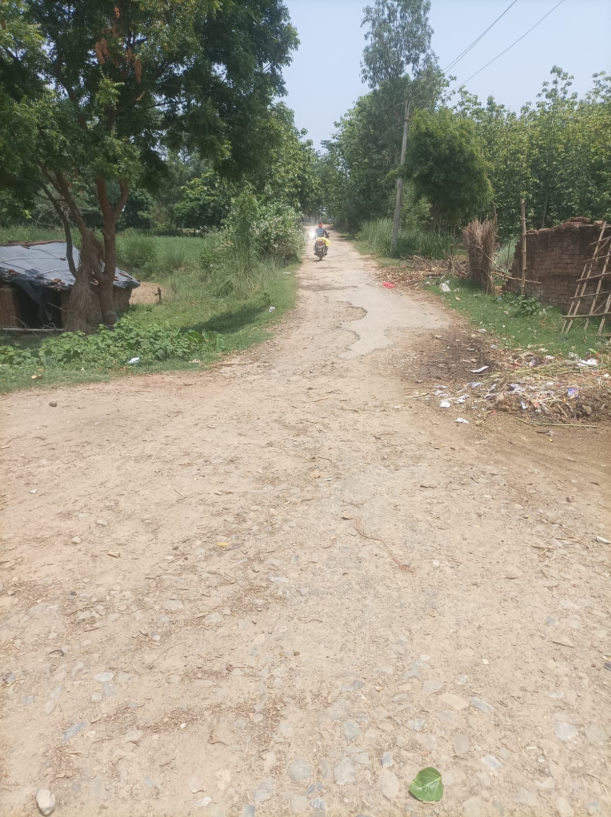 Despite the recommendations of the MP and MLC, the Karidiha-Kishunpur road was not built.