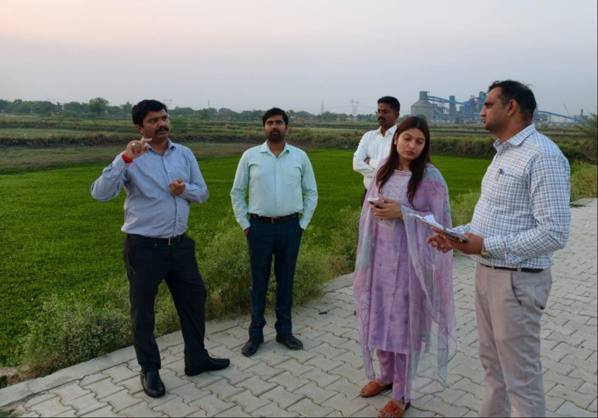 Organize tree plantation through Self-Help Groups.