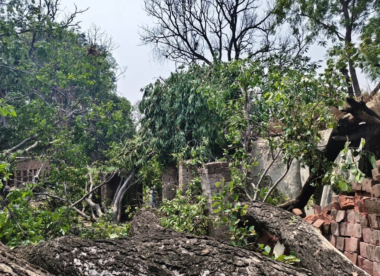 Weather changing due to air pressure in the Bay of Bengal, winds blowing at a speed of 40 kilometers per hour