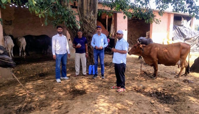 Animal health services are being affected due to BLO duty.