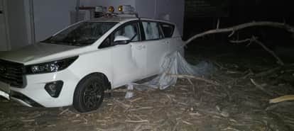 Impact of stormy evening: Commissioner's vehicle hit, huge tree fell, vehicle gate and glass damaged