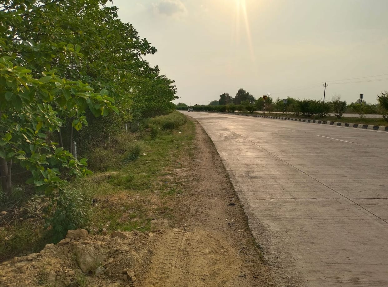Lambhua will be extended till the bypass, a global market will be created