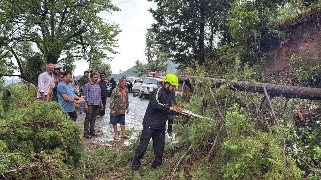 Trees fell on the Lohaghat-Chowmel road due to the storm, speed slowed down.