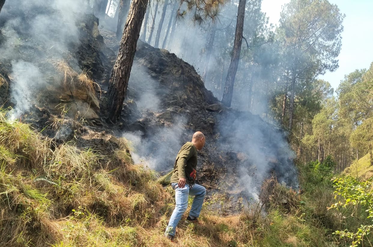 Lives at stake, forest workers fight fire to save the burning forest