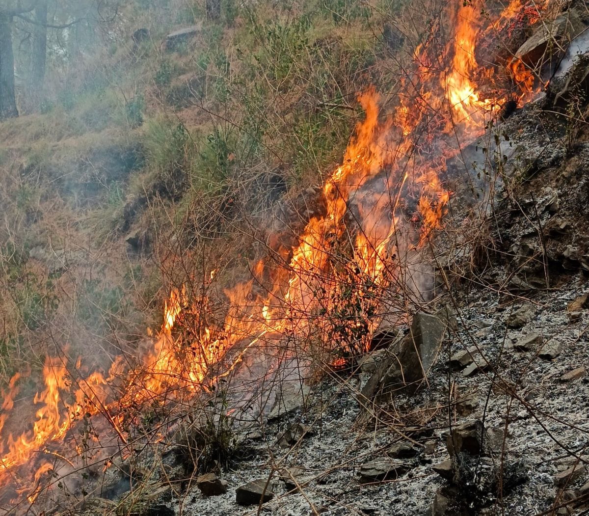A massive fire broke out in the forest adjacent to Mangala, causing panic among the villagers.