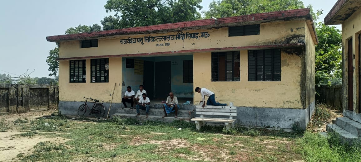 Animal hospital found locked, cattle farmers returned with the pain of not getting medicines