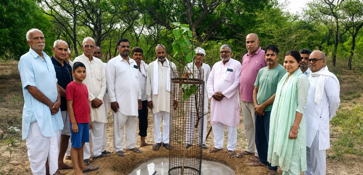 Planting trees is essential to tackle the challenges of pollution and climate change.
