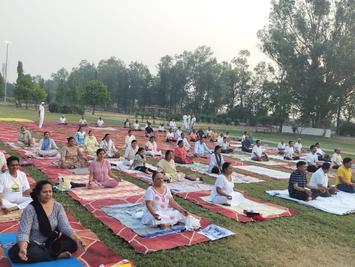Healthy nation can be built through yoga: Dharambir