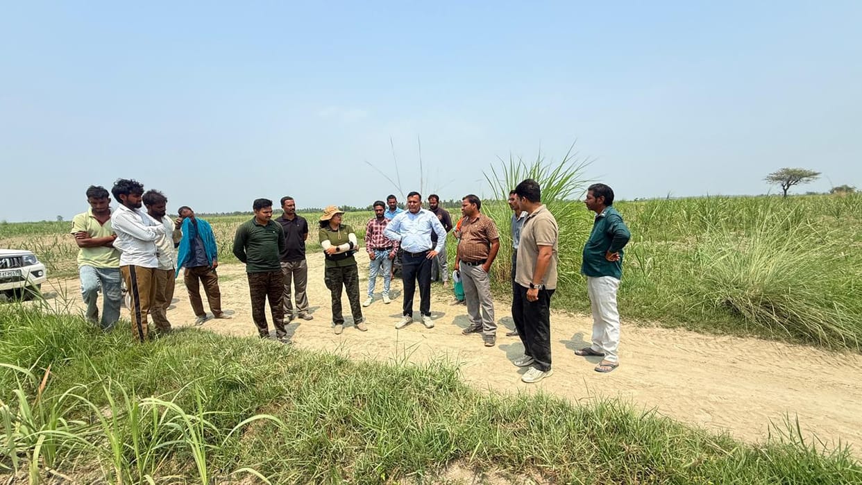 Plantation will be done on 158 hectares of land after freeing it from encroachment