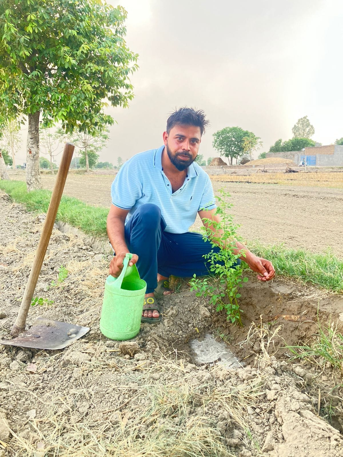 eacher's Pledge Upon Daughter's Birth: Sets an Example by Planting 567 Saplings