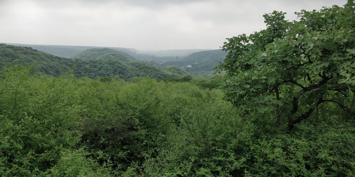 The conservation of water, forests, and land will form the foundation of the Aravallis' greenery.