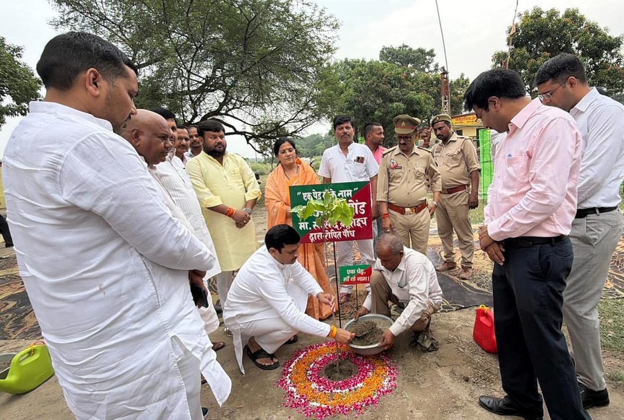 Pledge to increase greenery by planting trees