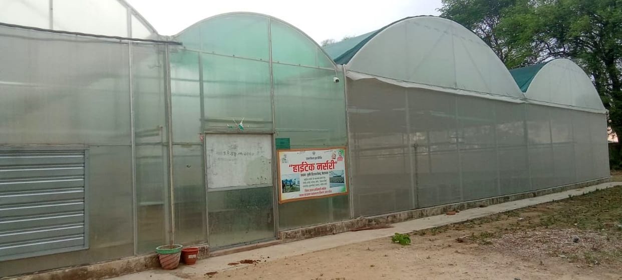 13 lakh vegetable plants will be ready in a year in the hi-tech nursery.