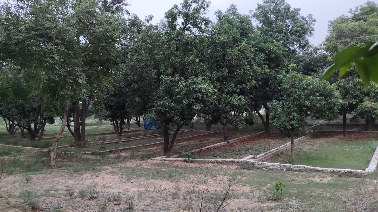 फोटो-16 कमालगंज क्षेत्र में बघार के पास हो रही प्लाटिंग। संवाद